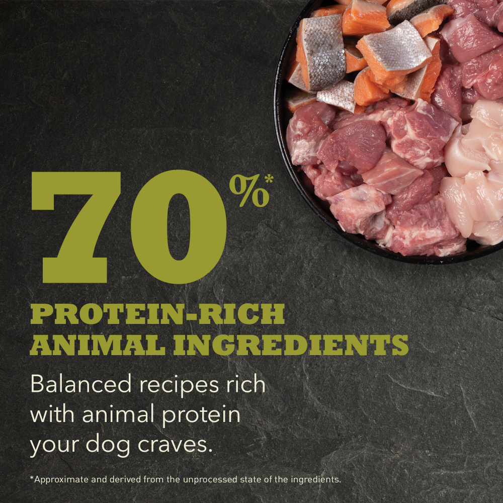 
                  
                    ACANA Highest Protein Grasslands Recipe Dry Dog Food
                  
                