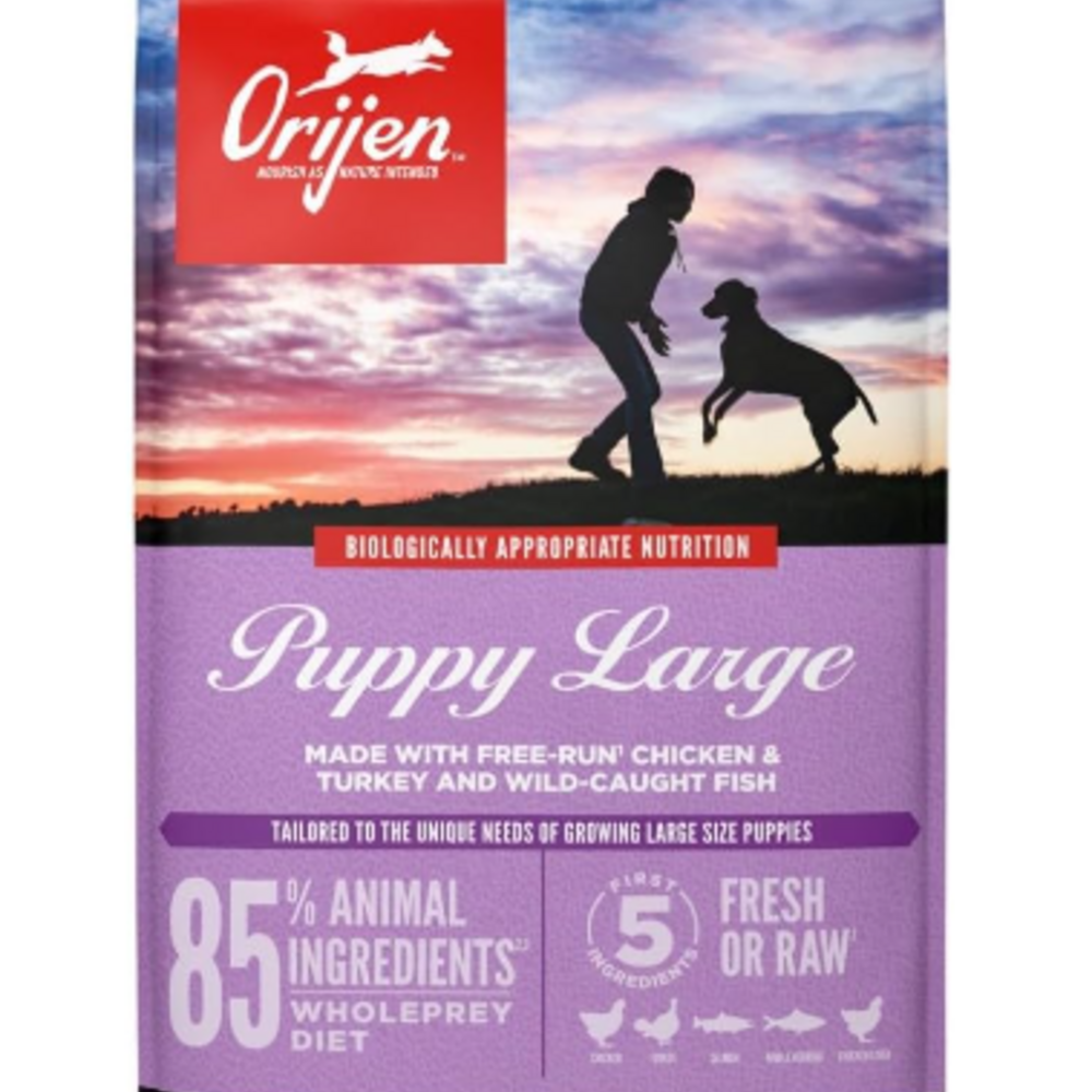 
                  
                    ORIJEN Puppy Large Breed Dry Dog Food
                  
                