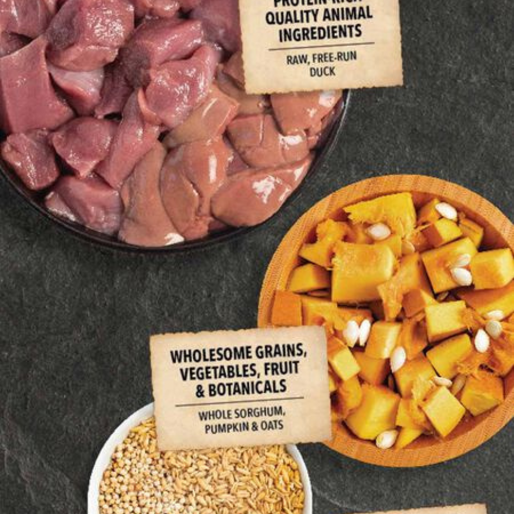 
                  
                    ACANA Wholesome Grains, Duck & Pumpkin Recipe, Limited Ingredient Diet Dry Dog Food
                  
                