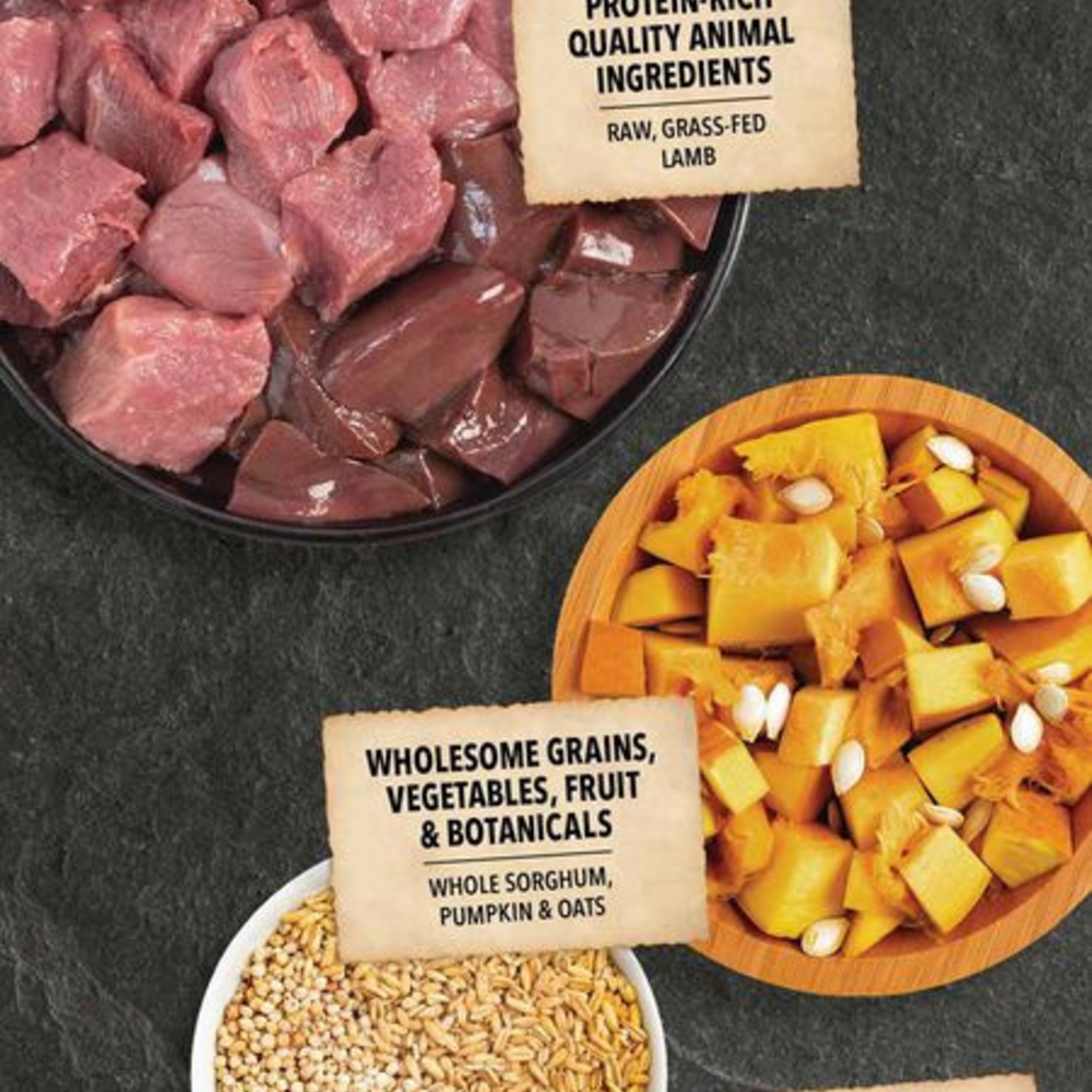 
                  
                    ACANA Wholesome Grains, Lamb & Pumpkin Recipe, Limited Ingredient Diet Dry Dog Food
                  
                