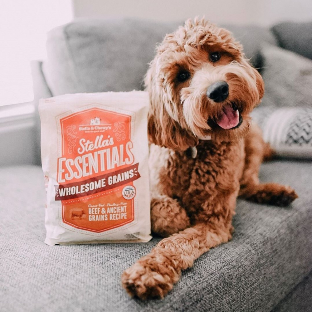 
                  
                    Stella & Chewy's Stella's Essentials Kibble Grass Fed Beef & Wholesome Grains Recipe Dry Dog Food
                  
                