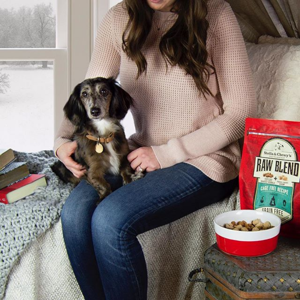 
                  
                    Stella & Chewy's Raw Blend Kibble Cage Free Recipe Dry Dog Food
                  
                