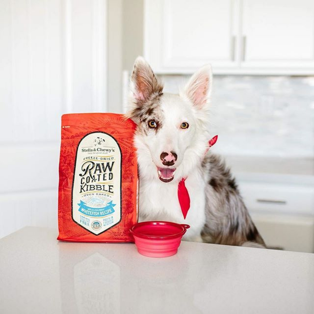 
                  
                    Stella & Chewy's Raw Coated Kibble Wild Caught Whitefish Recipe Dry Dog Food
                  
                