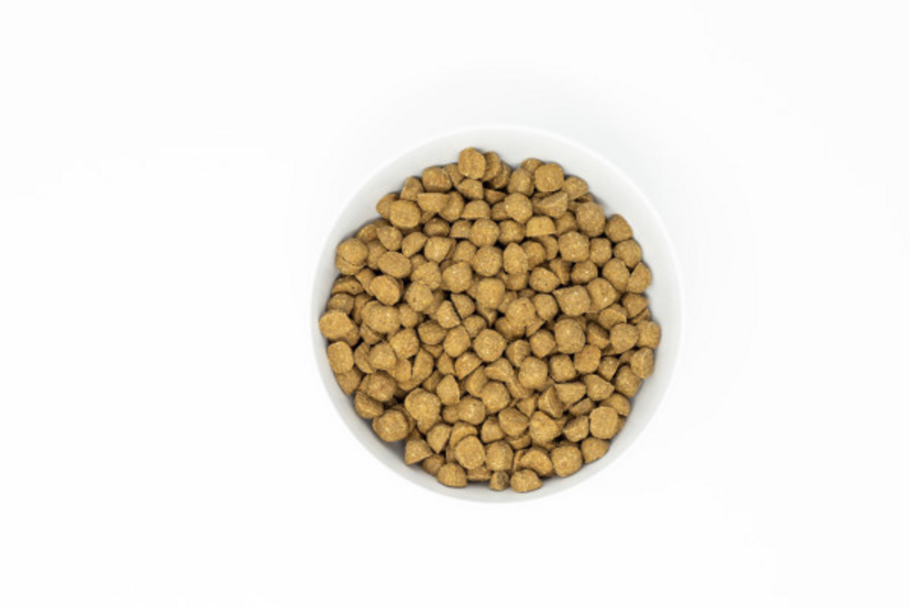 
                  
                    Stella & Chewy's Raw Coated Kibble With Wholesome Grains Cage Free Duck Recipe Dry Dog Food
                  
                