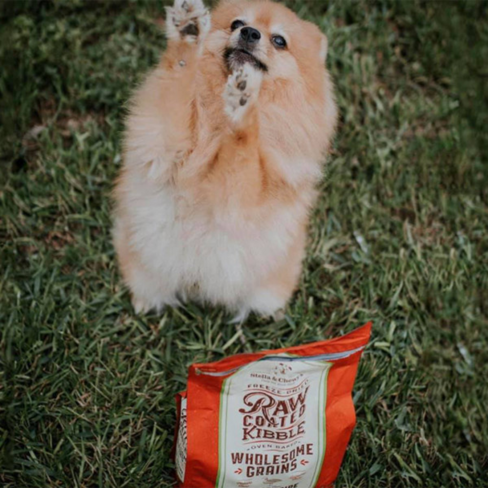 
                  
                    Stella & Chewy's Raw Coated Kibble With Wholesome Grains Cage Free Duck Recipe Dry Dog Food
                  
                