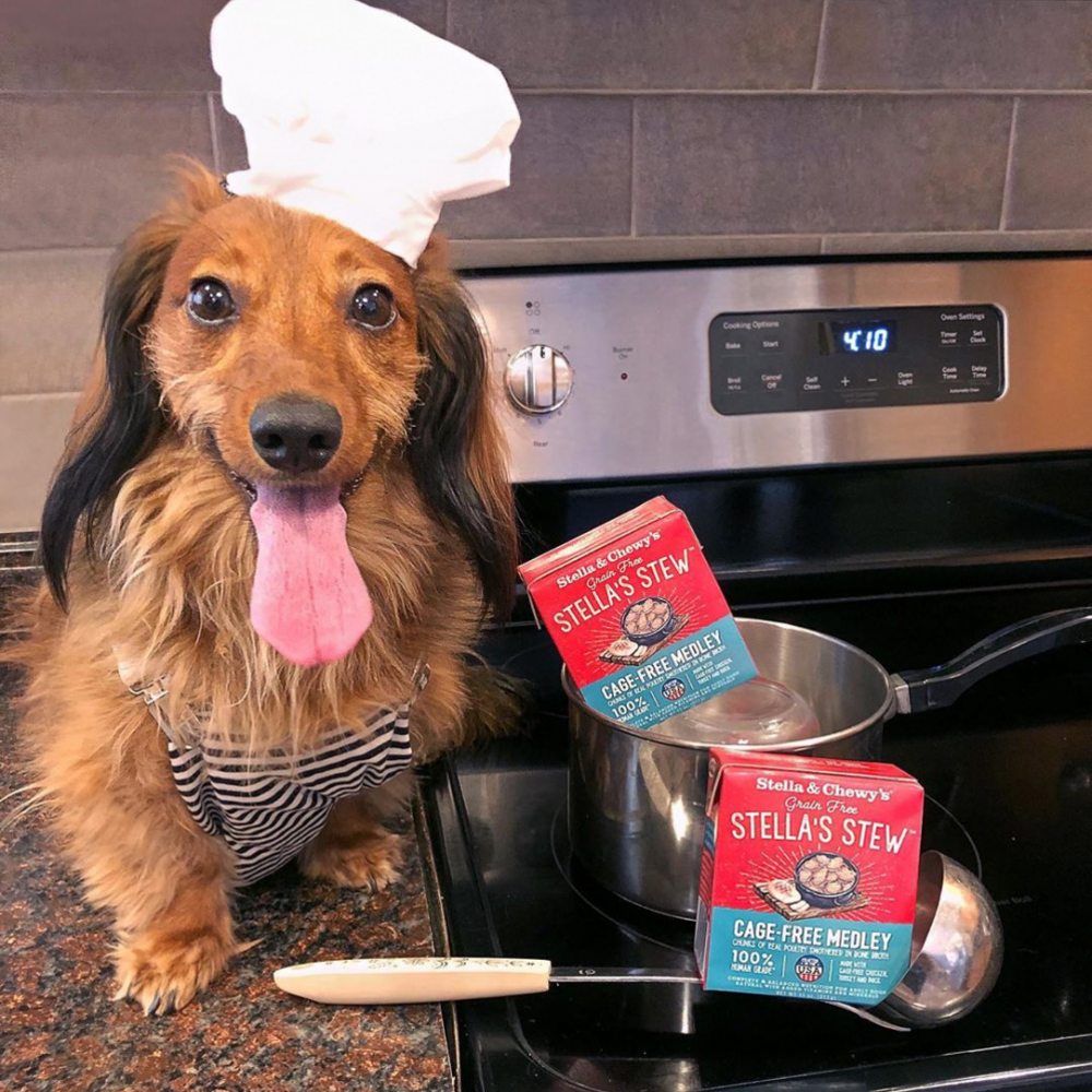 
                  
                    Stella & Chewy's Stella's Stew Cage Free Medley Recipe Food Topper for Dogs
                  
                