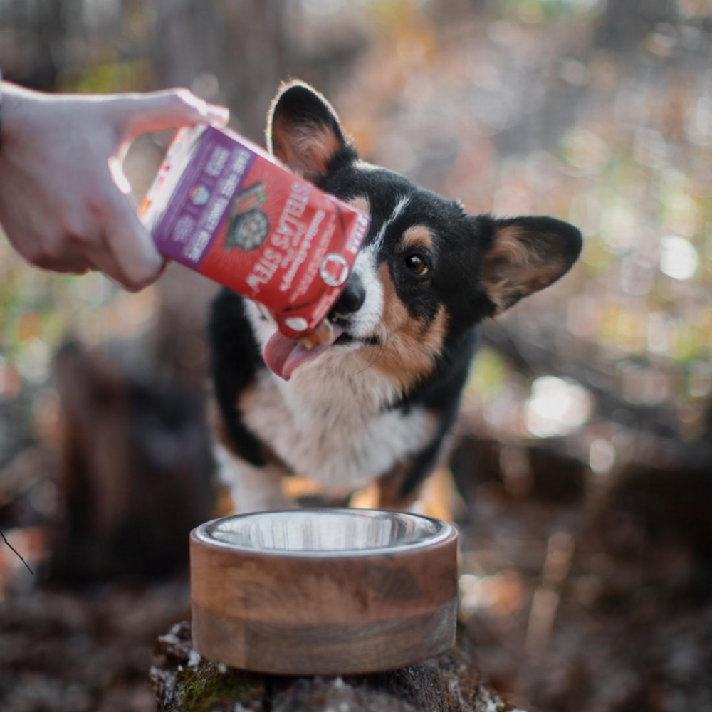 Stella & Chewy's Stella's Stew Cage Free Turkey Recipe Food Topper for Dogs