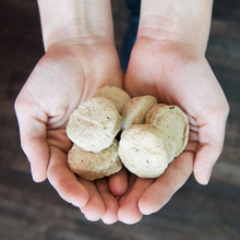 Load image into Gallery viewer, Stella &amp; Chewy&#39;s Perfectly Puppy Freeze Dried Raw Chicken and Salmon Dinner Patties Grain Free Dog Food