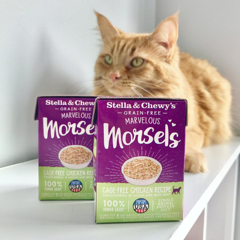 
                  
                    Stella & Chewy's Marvelous Morsels Cage Free Chicken Recipe Wet Cat Food
                  
                