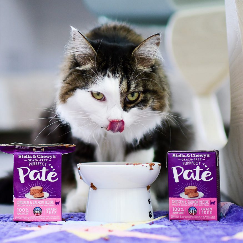 
                  
                    Stella & Chewy's Purrfect Pate Chicken & Salmon Medley Recipe Wet Cat Food
                  
                