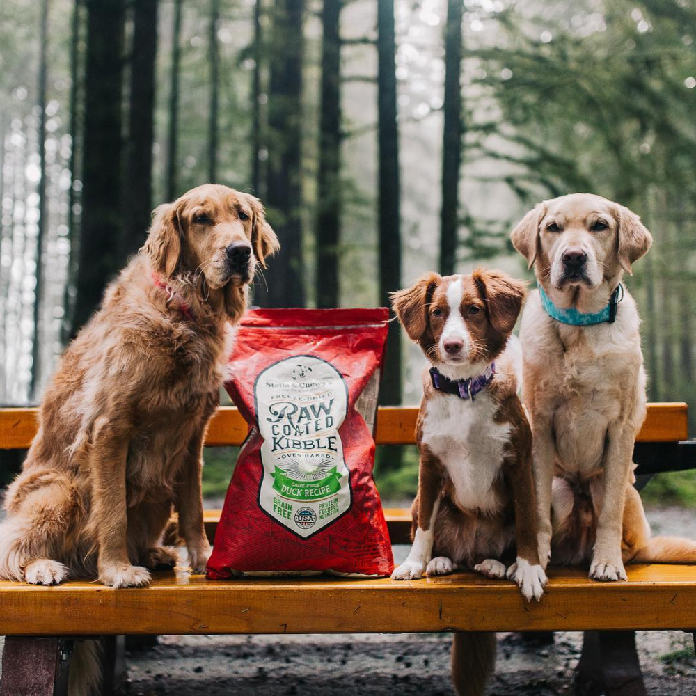 
                  
                    Stella & Chewy's Raw Coated Kibble Cage Free Duck Recipe Dry Dog Food
                  
                