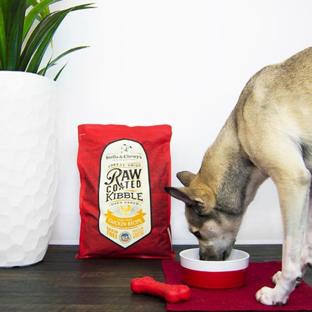 
                  
                    Stella & Chewy's Raw Coated Kibble Cage Free Chicken Recipe Dry Dog Food
                  
                