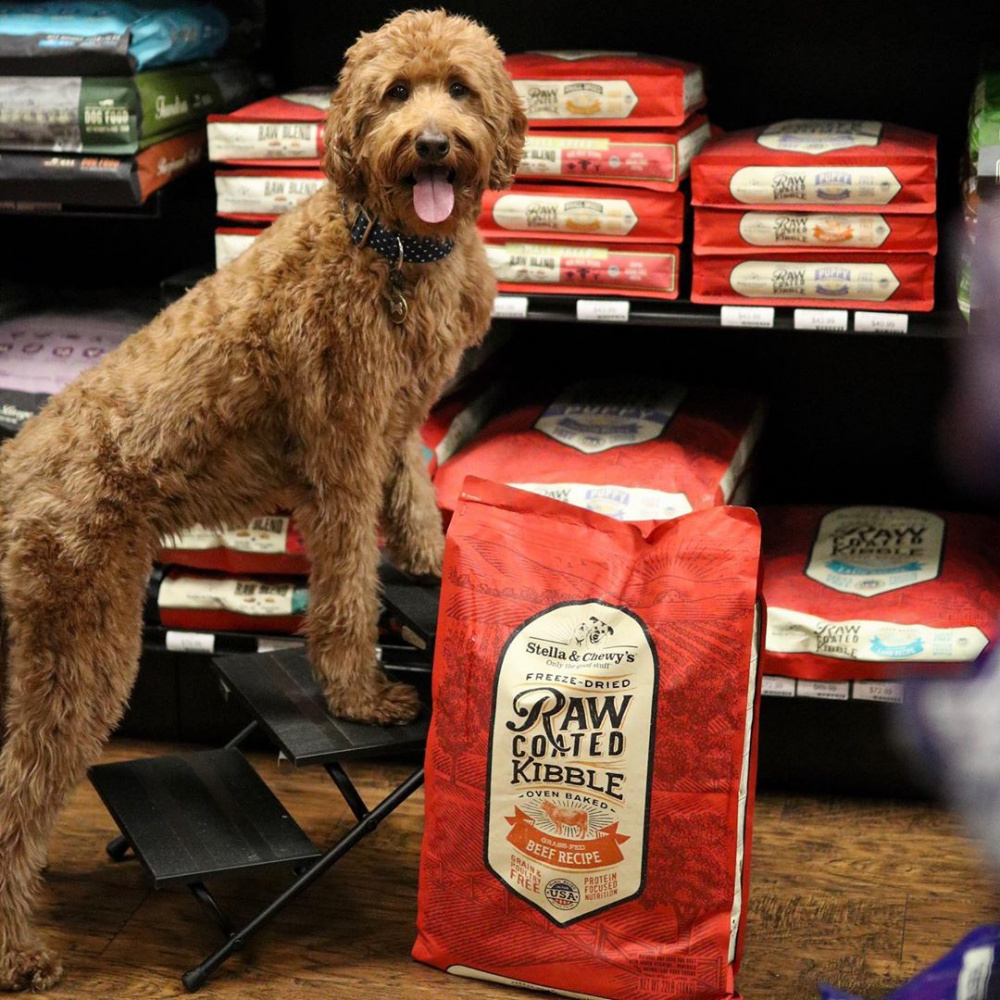 
                  
                    Stella & Chewy's Raw Coated Kibble Grass Fed Beef Recipe Dry Dog Food
                  
                