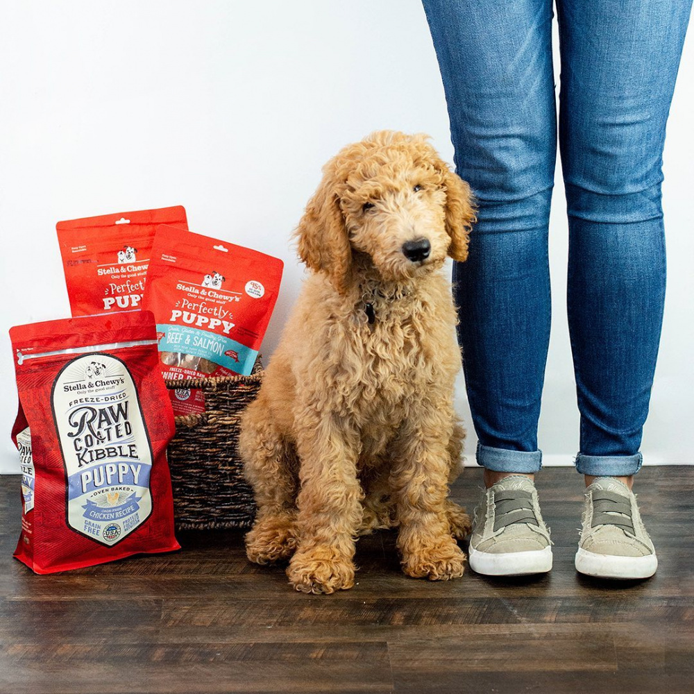 
                  
                    Stella & Chewy's Raw Coated Kibble Cage Free Chicken Recipe Puppy Dry Dog Food
                  
                