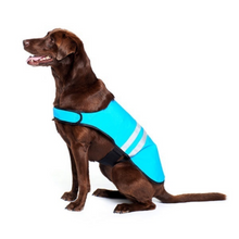 Load image into Gallery viewer, ZippyPaws Adventure Gear Blue Cooling Dog Vest