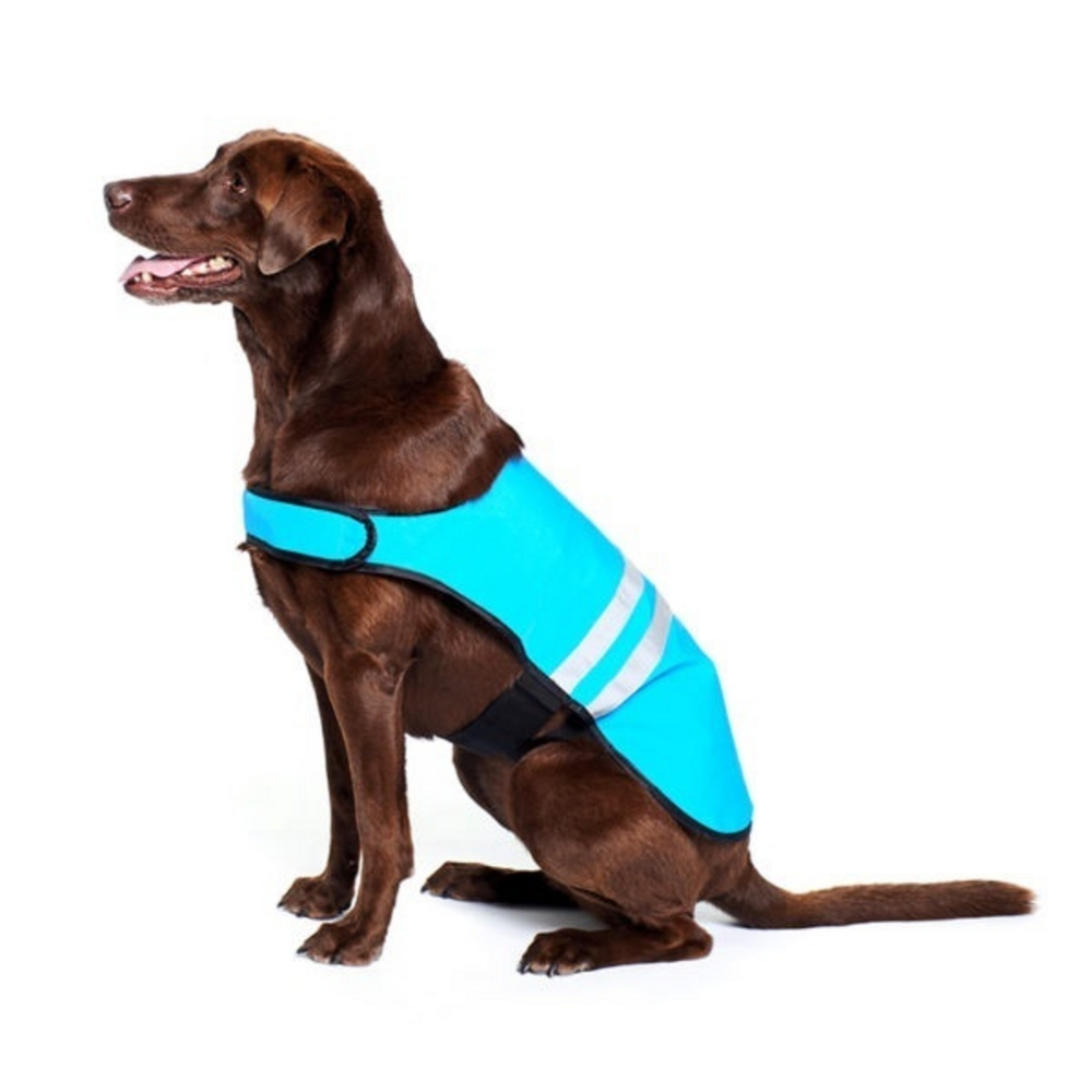 
                  
                    ZippyPaws Adventure Gear Blue Cooling Dog Vest
                  
                