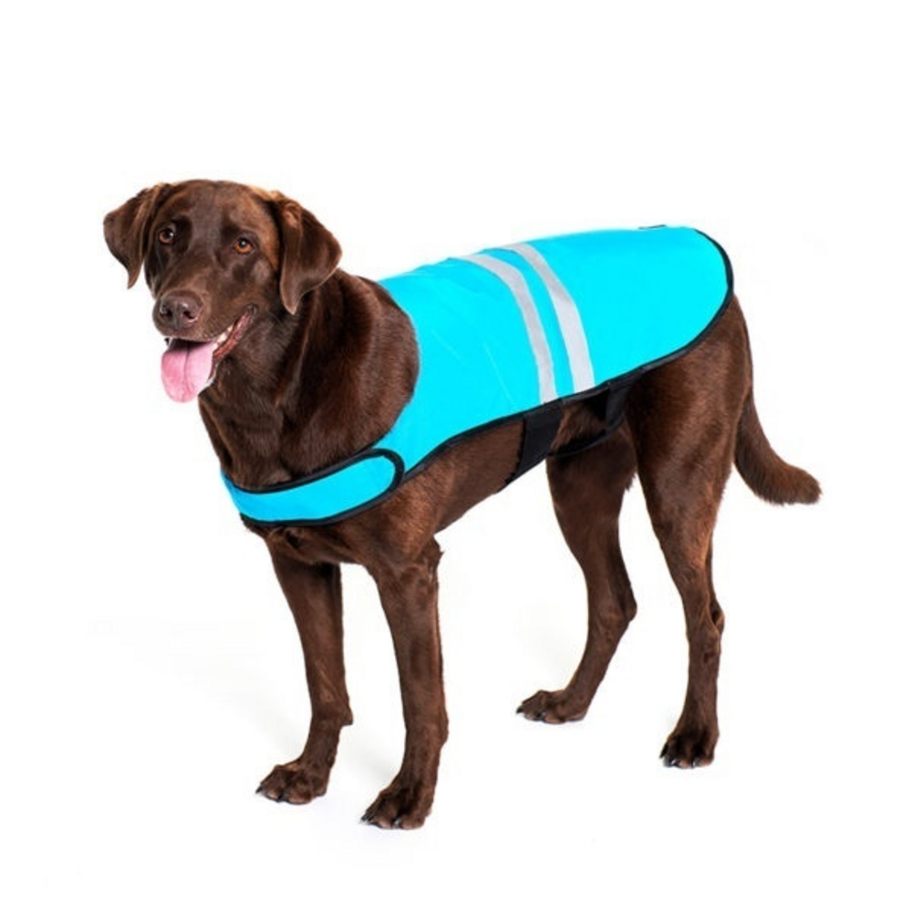 
                  
                    ZippyPaws Adventure Gear Blue Cooling Dog Vest
                  
                