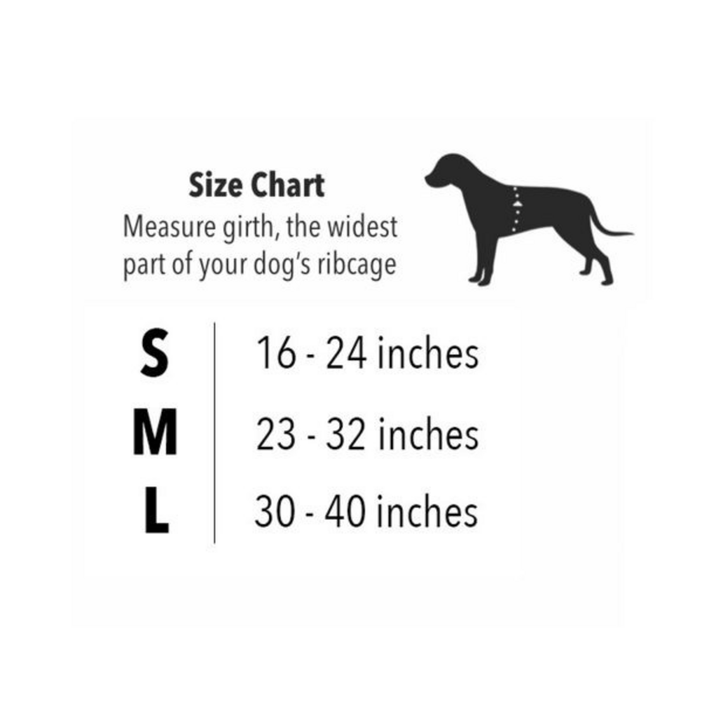 
                  
                    ZippyPaws Adventure Gear Blue Cooling Dog Vest
                  
                