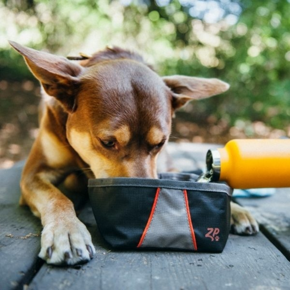 
                  
                    ZippyPaws Adventure Bowl For Dogs
                  
                