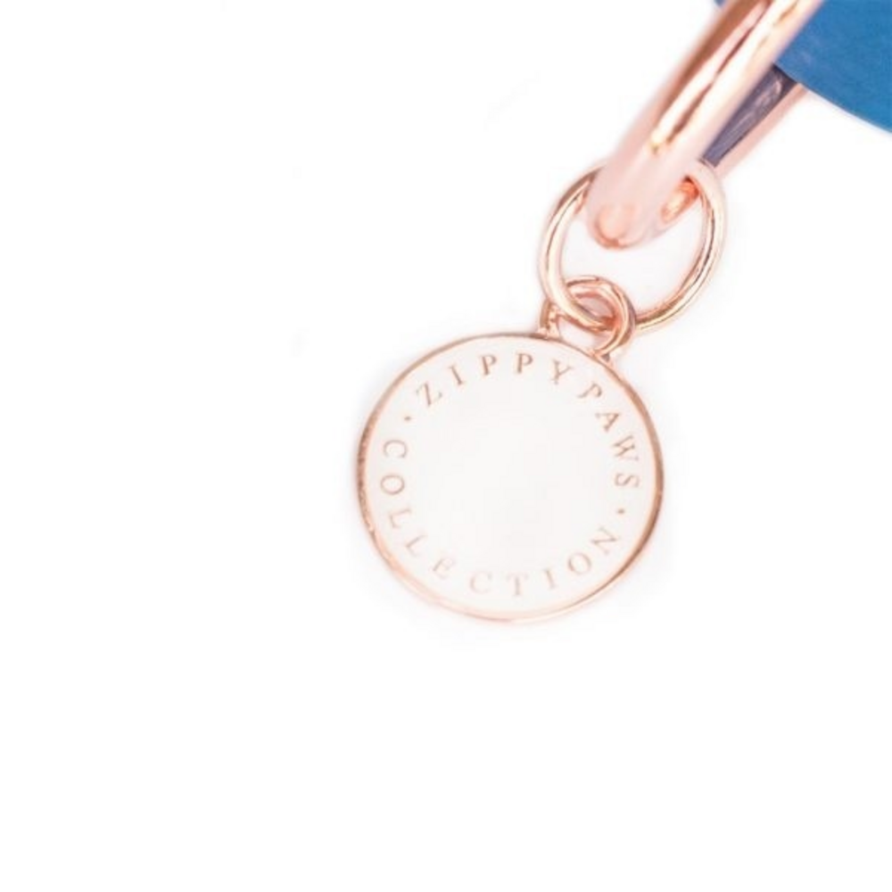 
                  
                    ZippyPaws Vivid Collection Teal Dog Collar
                  
                