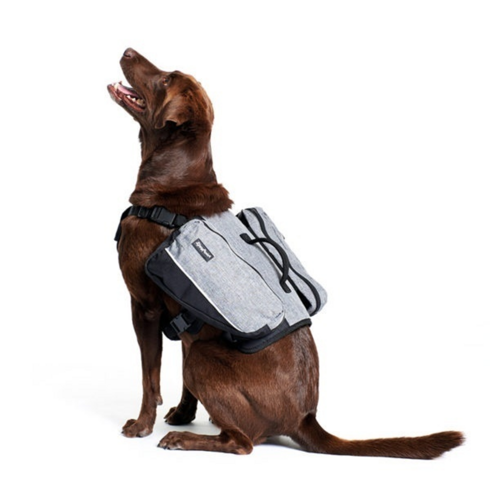 
                  
                    ZippyPaws Adventure Gear Graphite Backpack For Dogs
                  
                
