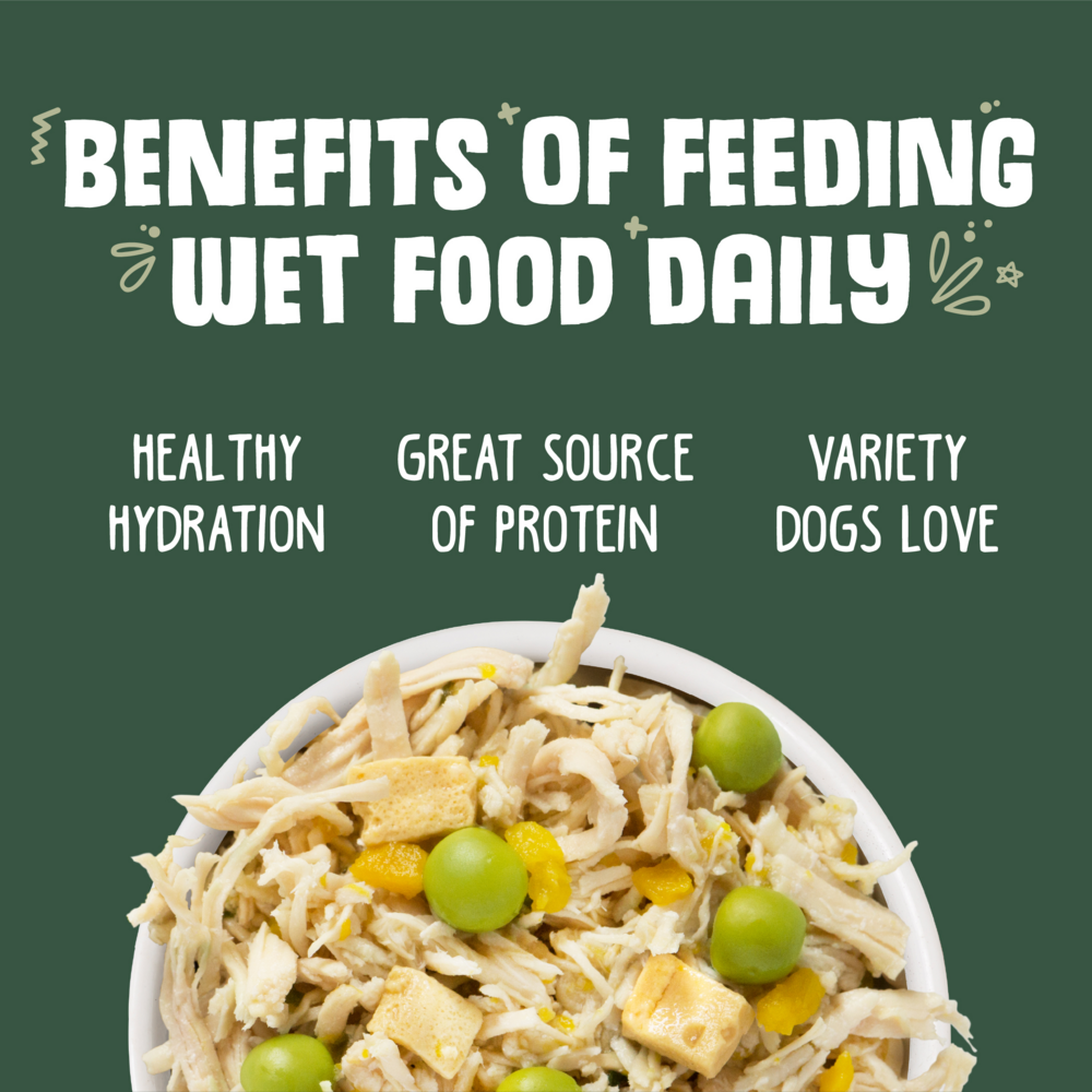 
                  
                    Weruva Green Eggs & Chicken with Chicken, Pumpkin, Greens & Eggs Canned Dog Food
                  
                