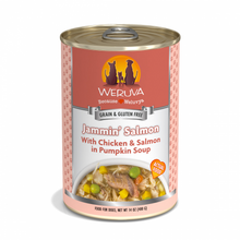 Load image into Gallery viewer, Weruva Jammin Salmon with Chicken &amp; Salmon in Pumpkin Soup Canned Dog Food