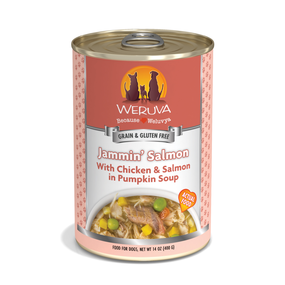 
                  
                    Weruva Jammin Salmon with Chicken & Salmon in Pumpkin Soup Canned Dog Food
                  
                