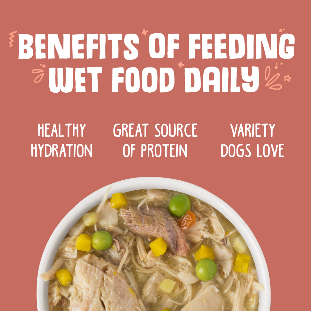 
                  
                    Weruva Jammin Salmon with Chicken & Salmon in Pumpkin Soup Canned Dog Food
                  
                