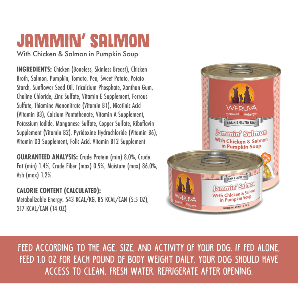 
                  
                    Weruva Jammin Salmon with Chicken & Salmon in Pumpkin Soup Canned Dog Food
                  
                