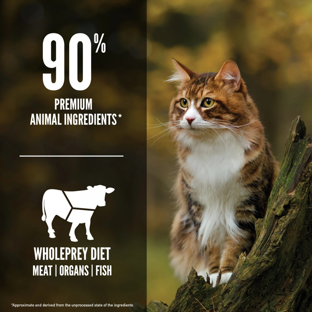 
                  
                    ORIJEN Grain Free Regional Red Dry Cat Food
                  
                