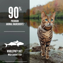 Load image into Gallery viewer, ORIJEN Grain Free Six Fish Dry Cat Food