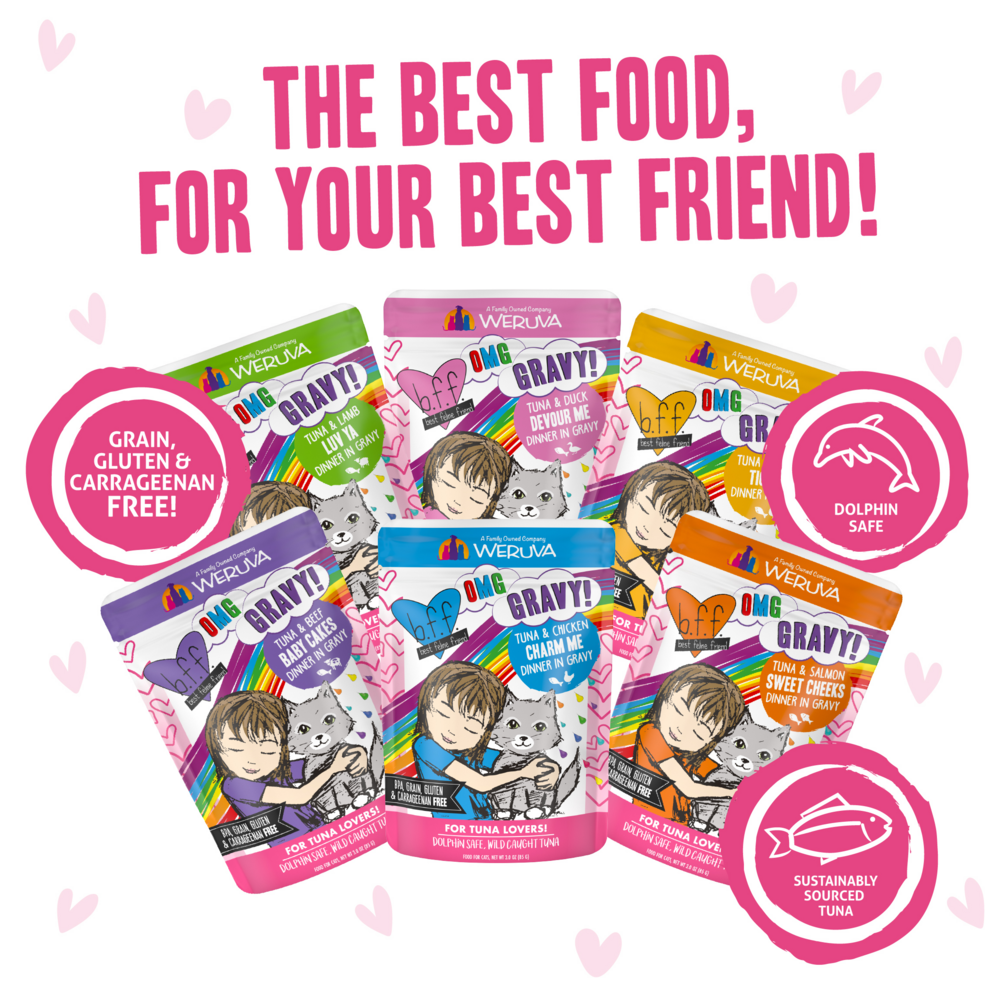 
                  
                    Weruva Grain Free BFF OMG Rainbow A Go Go Cat Variety Pouches Pack
                  
                