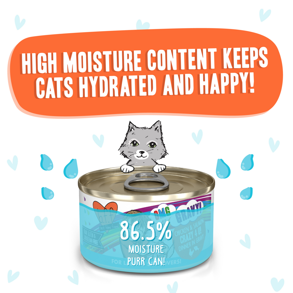 
                  
                    Weruva BFF Oh My Gravy Crazy 4 U Grain Free Chicken & Salmon in Gravy Canned Cat Food
                  
                