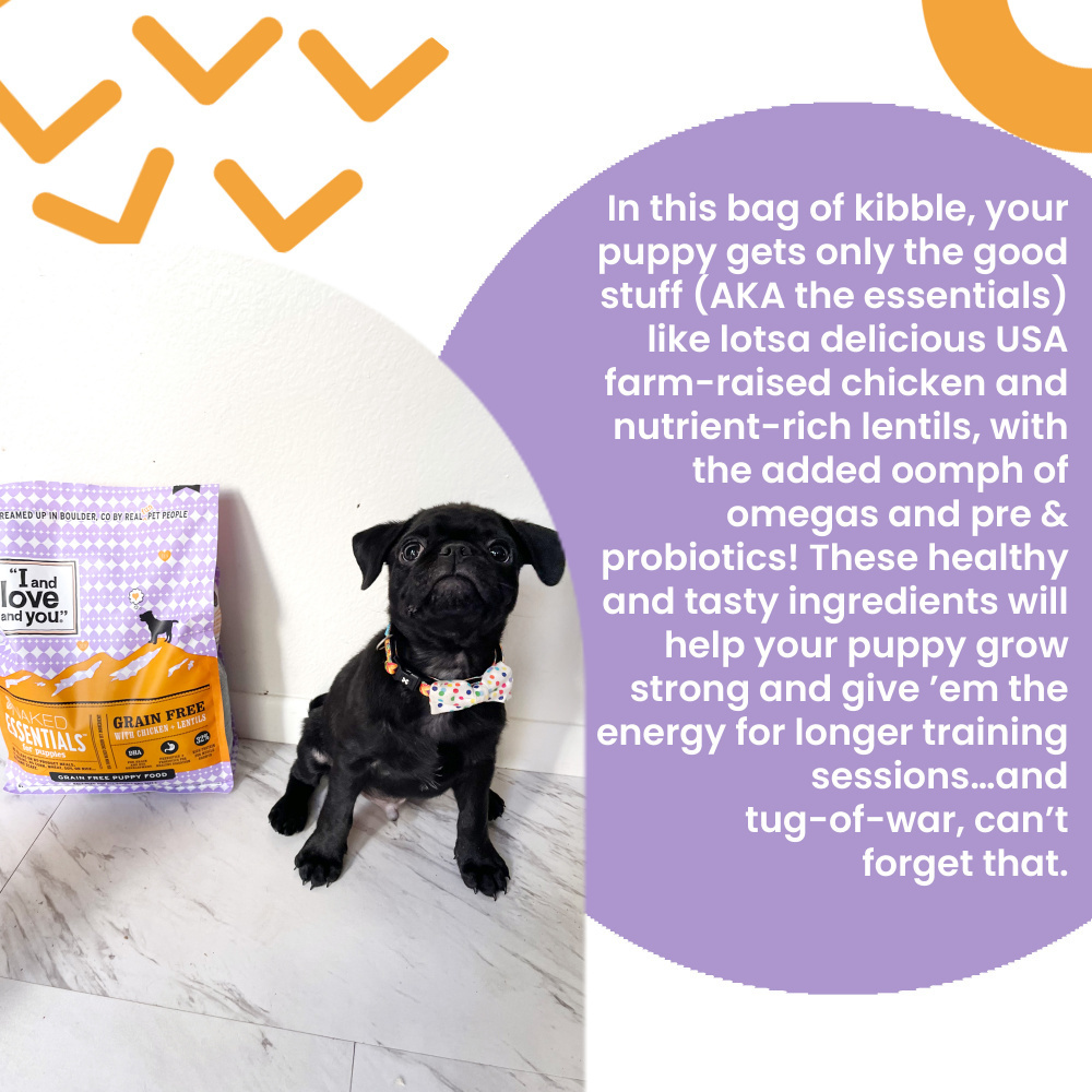 
                  
                    I and Love and You Naked Essentials Grain Free Puppy Recipe Dry Dog Food
                  
                