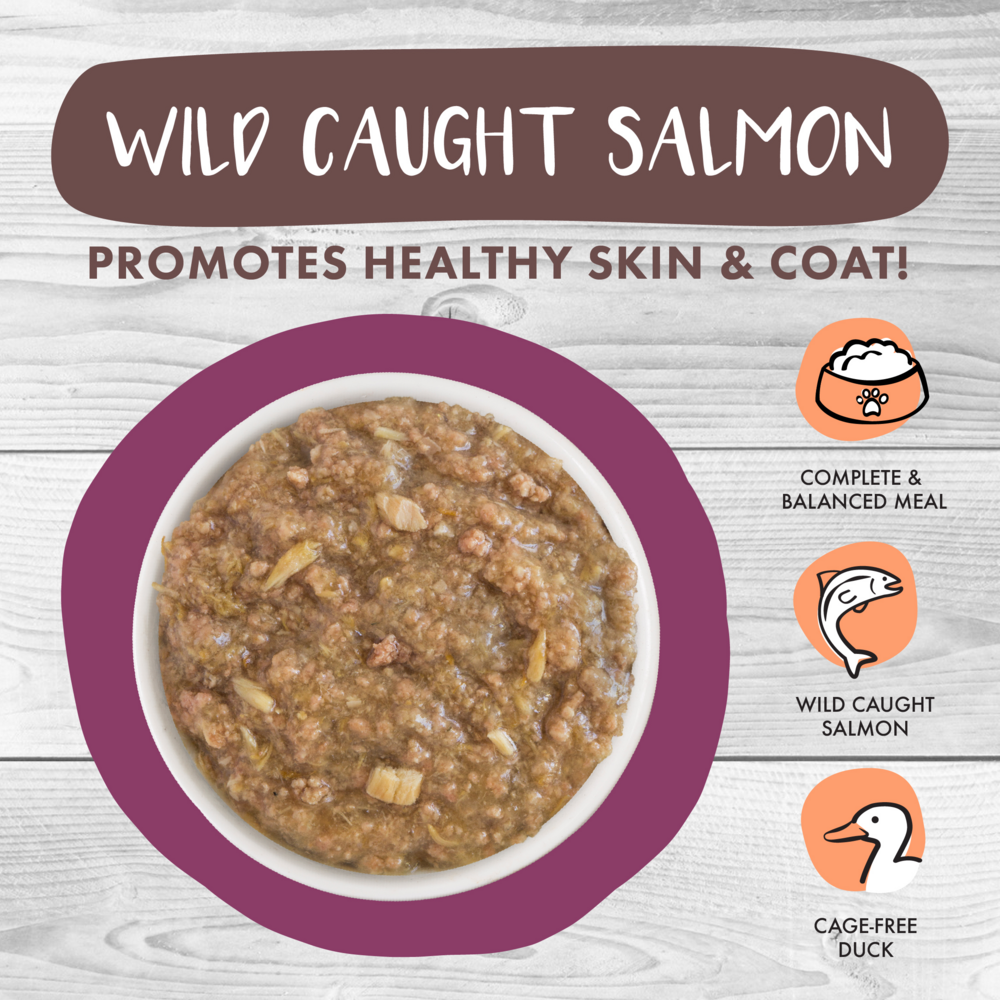 
                  
                    Weruva Classic Cat Stews! Stick a Spork in It with Duck & Salmon in Gravy Canned Cat Food
                  
                