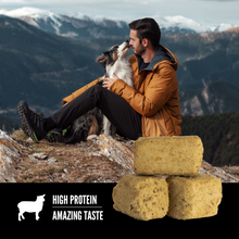 Load image into Gallery viewer, ORIJEN Freeze Dried Grass Fed Lamb Dog Treats