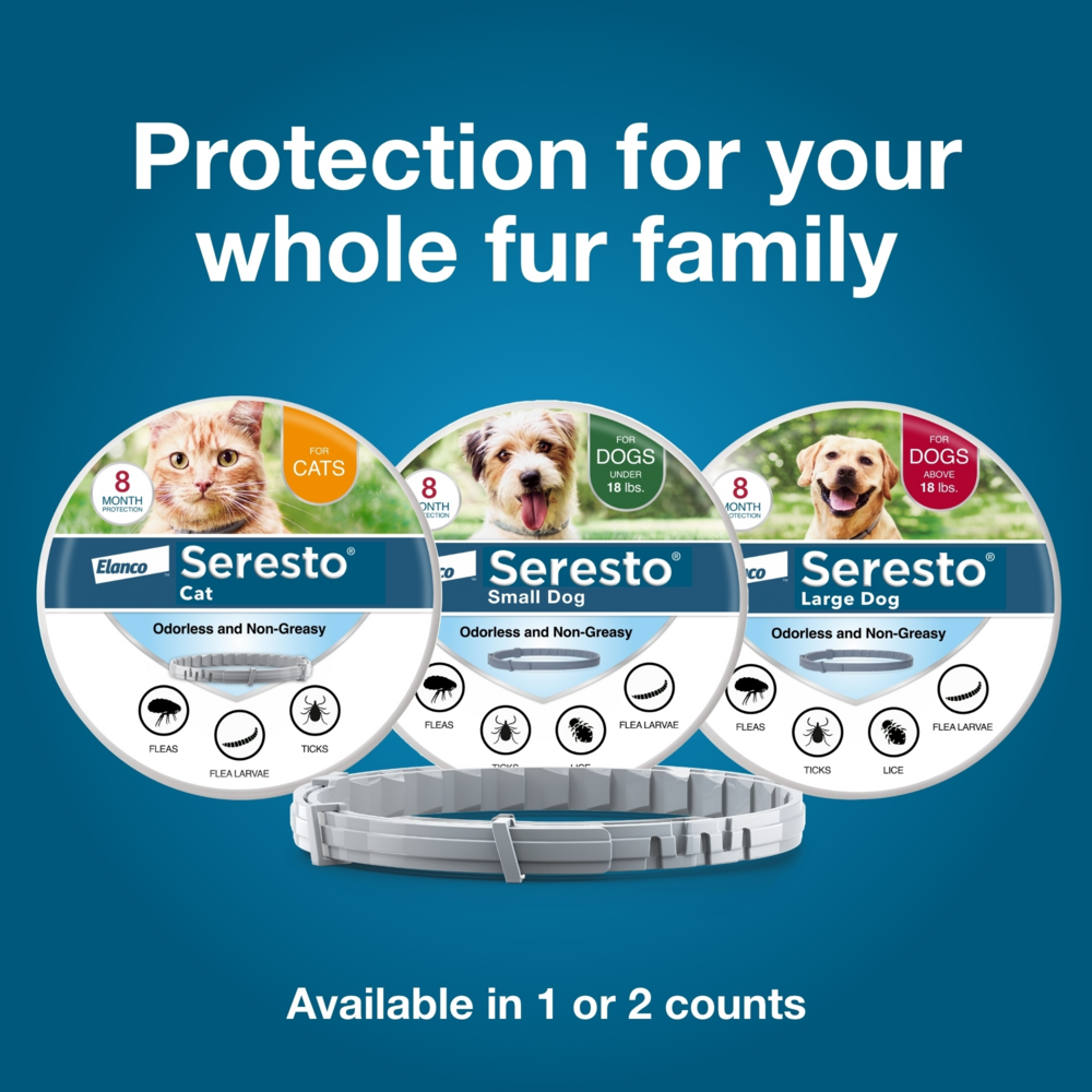 
                  
                    Seresto Flea & Tick Collar Dog
                  
                