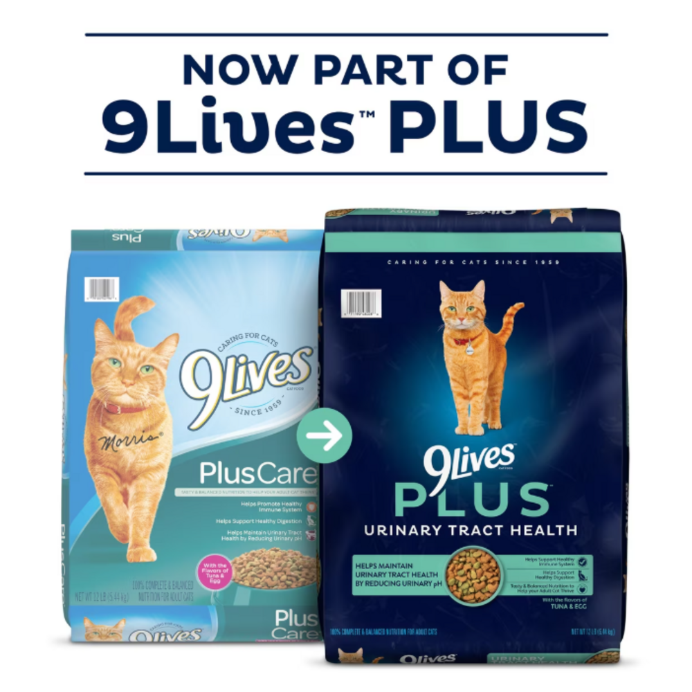 9 lives dry cat food 9Lives Plus Care Formula Dry Cat Food