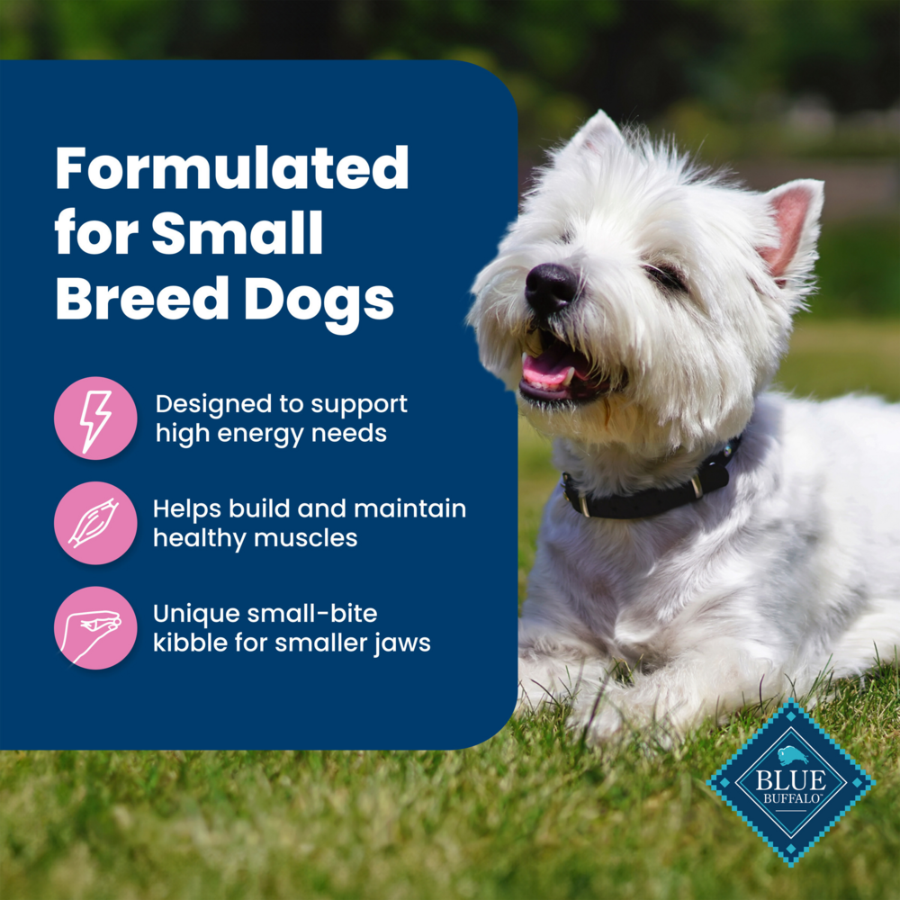 
                  
                    Blue Buffalo Life Protection Formula Small Breed Adult Chicken & Brown Rice Recipe Dry Dog Food
                  
                