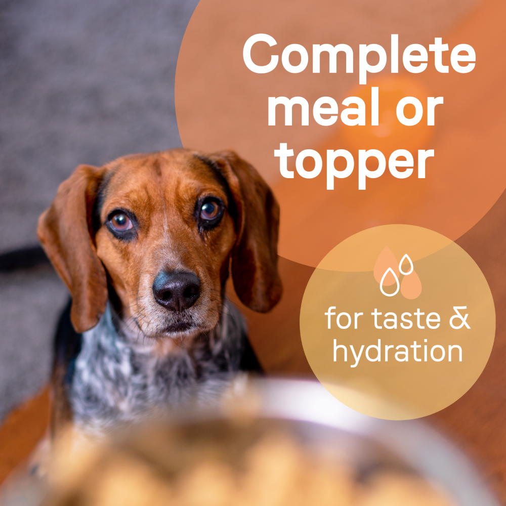 
                  
                    Canidae All Life Stages Formula Canned Dog Food
                  
                