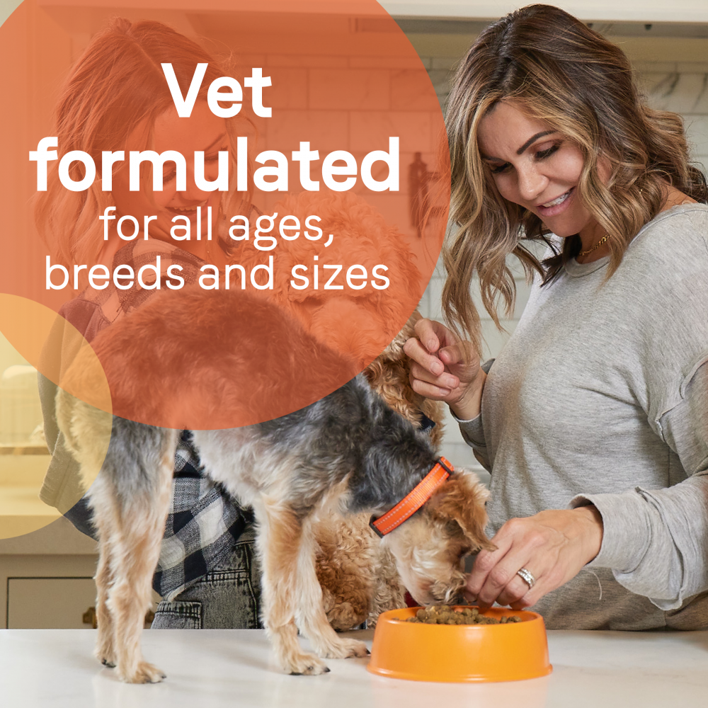 
                  
                    Canidae All Life Stages Formula Canned Dog Food
                  
                