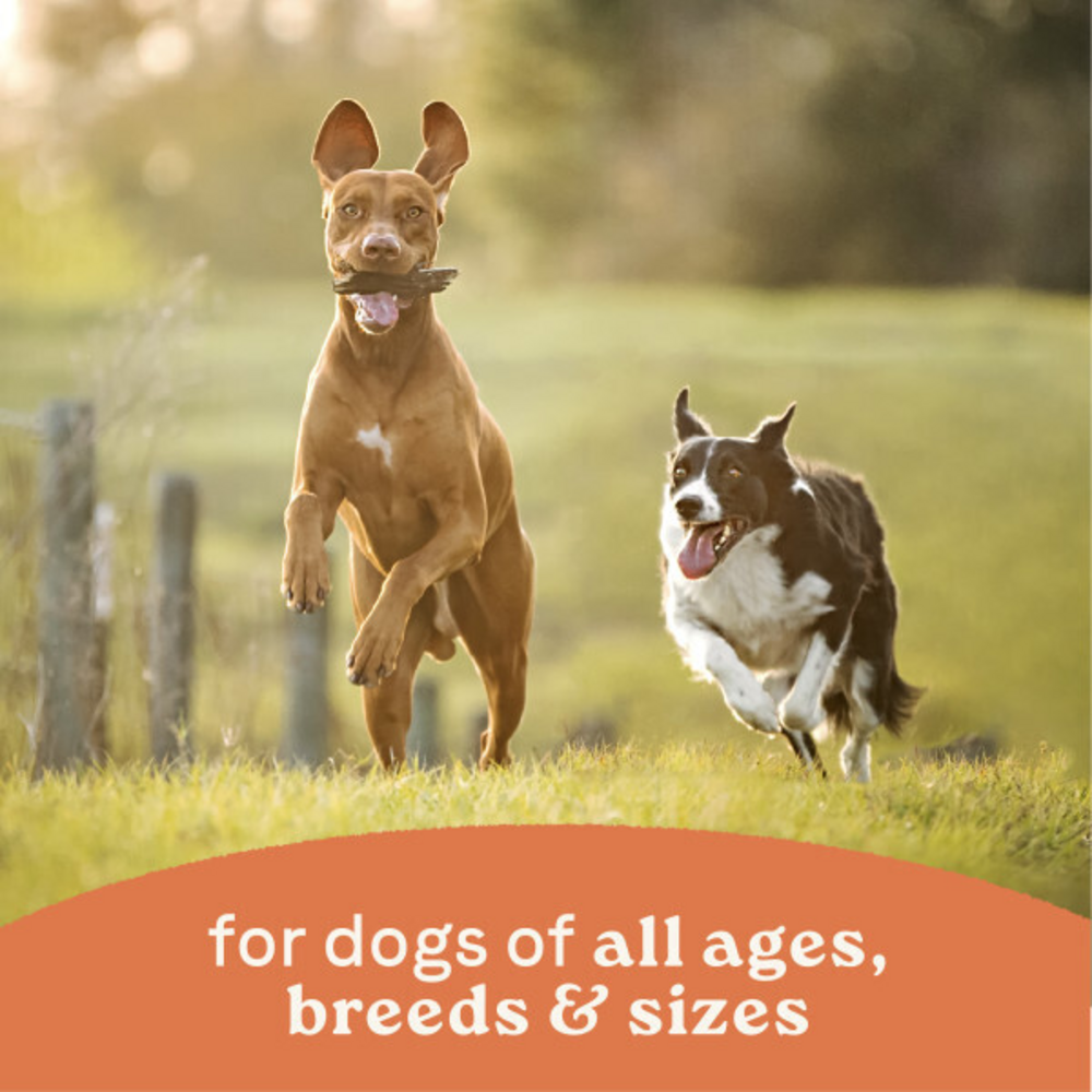 
                  
                    Canidae All Life Stages Chicken and Rice Canned Dog Food
                  
                