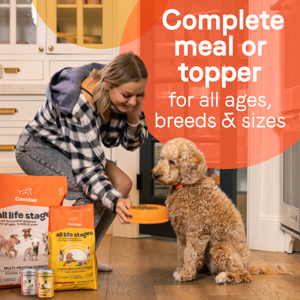 
                  
                    Canidae All Life Stages Lamb and Rice Canned Dog Food
                  
                