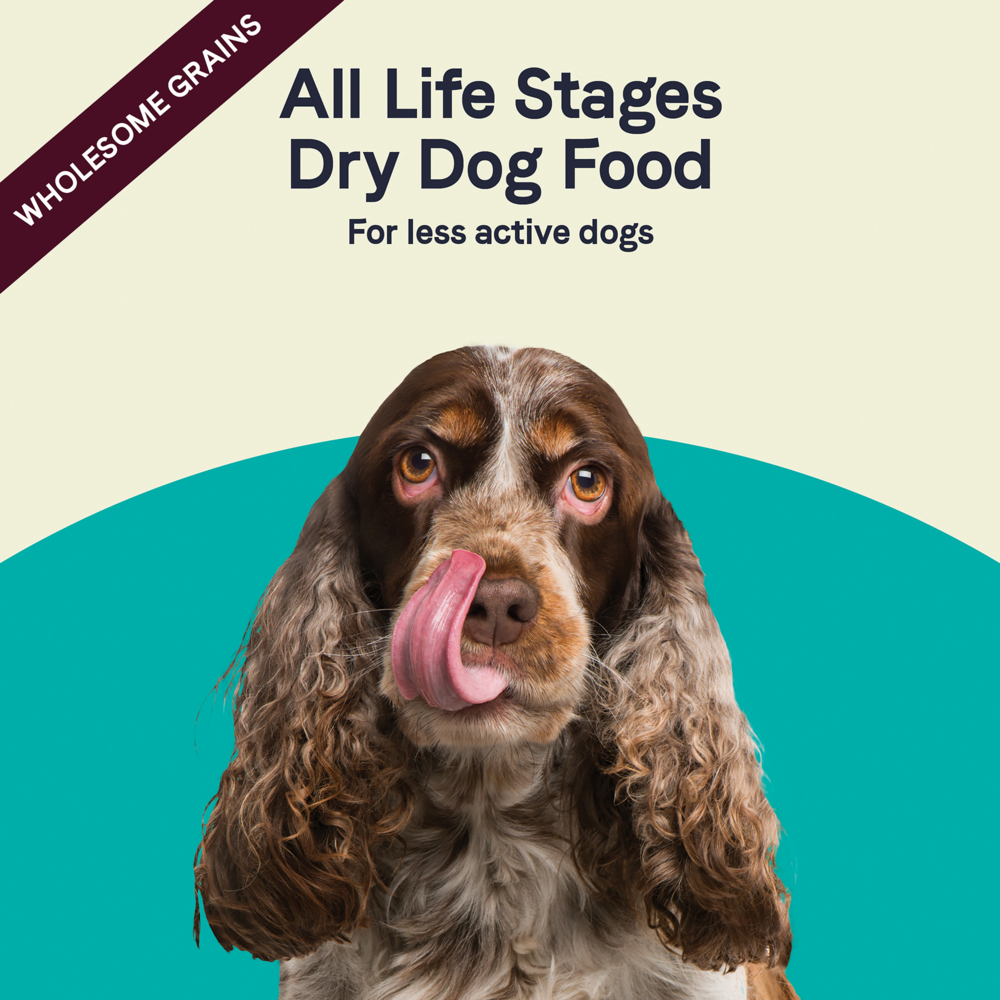 
                  
                    Canidae All Life Stages Less Active Formula with Chicken, Lamb & Fish Dry Dog Food
                  
                