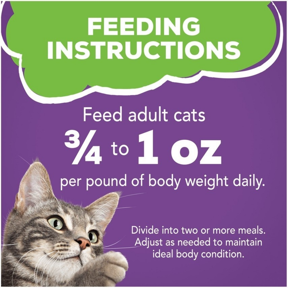 Friskies Pate Turkey & Giblets Wet Cat Food
