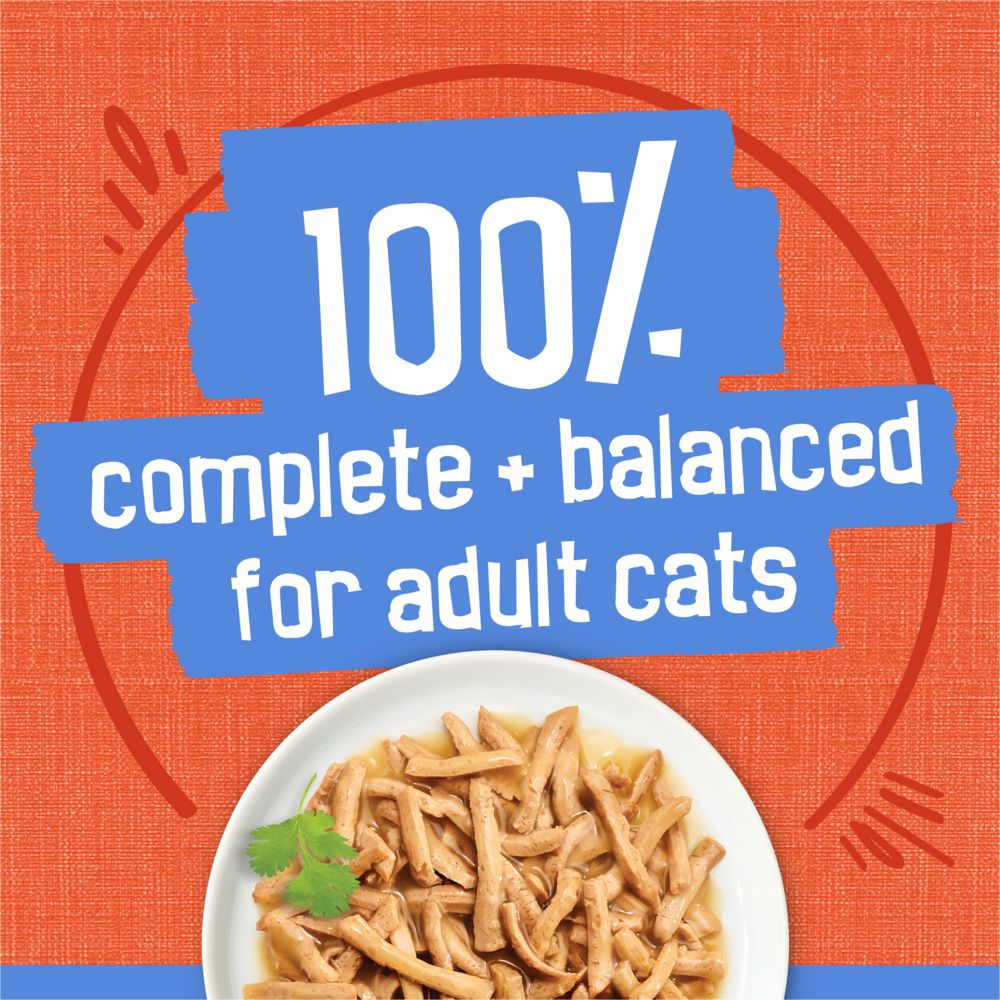 
                  
                    Friskies Savory Shreds Chicken And Salmon Dinner In Gravy Canned Cat Food
                  
                