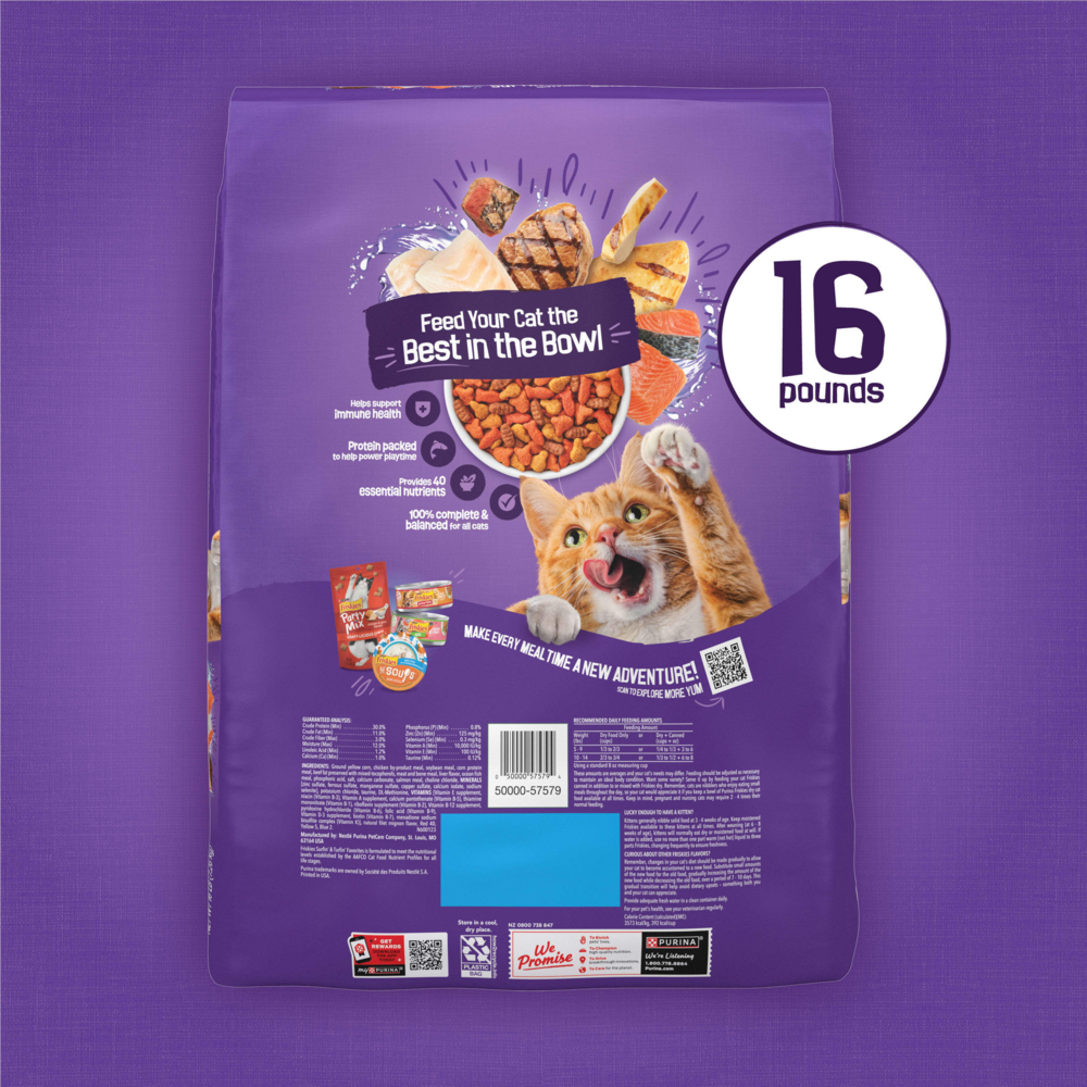 
                  
                    Purina Friskies Cat Food Surfin and Turfin Favorites Flavors of Chicken, Whitefish, Salmon and Filet Mignon Dry Cat Food
                  
                