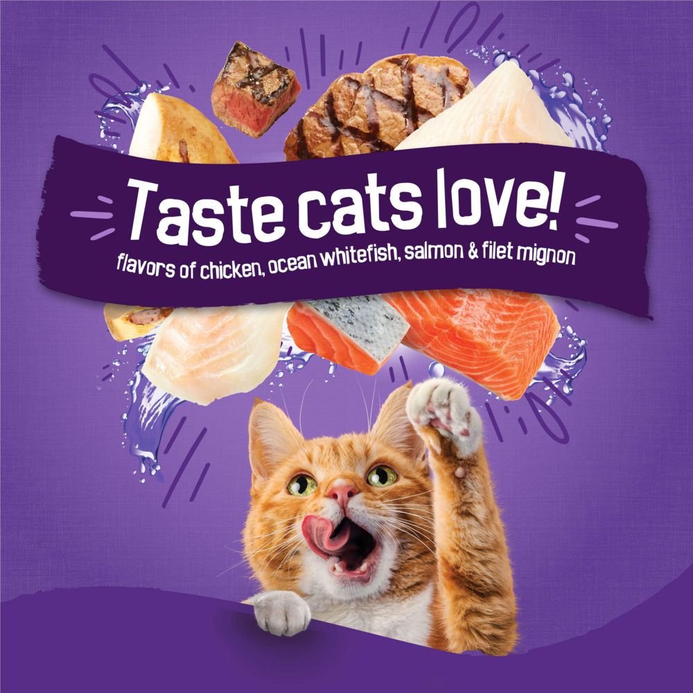 
                  
                    Purina Friskies Cat Food Surfin and Turfin Favorites Flavors of Chicken, Whitefish, Salmon and Filet Mignon Dry Cat Food
                  
                