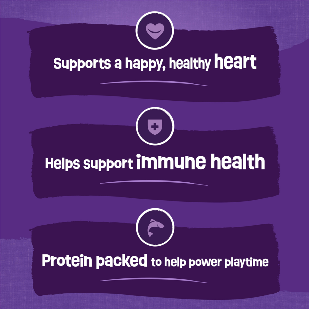 
                  
                    Purina Friskies Cat Food Surfin and Turfin Favorites Flavors of Chicken, Whitefish, Salmon and Filet Mignon Dry Cat Food
                  
                